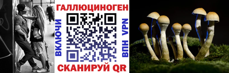 Псилоцибиновые грибы GOLDEN TEACHER  купить  сайты  Воскресенск 